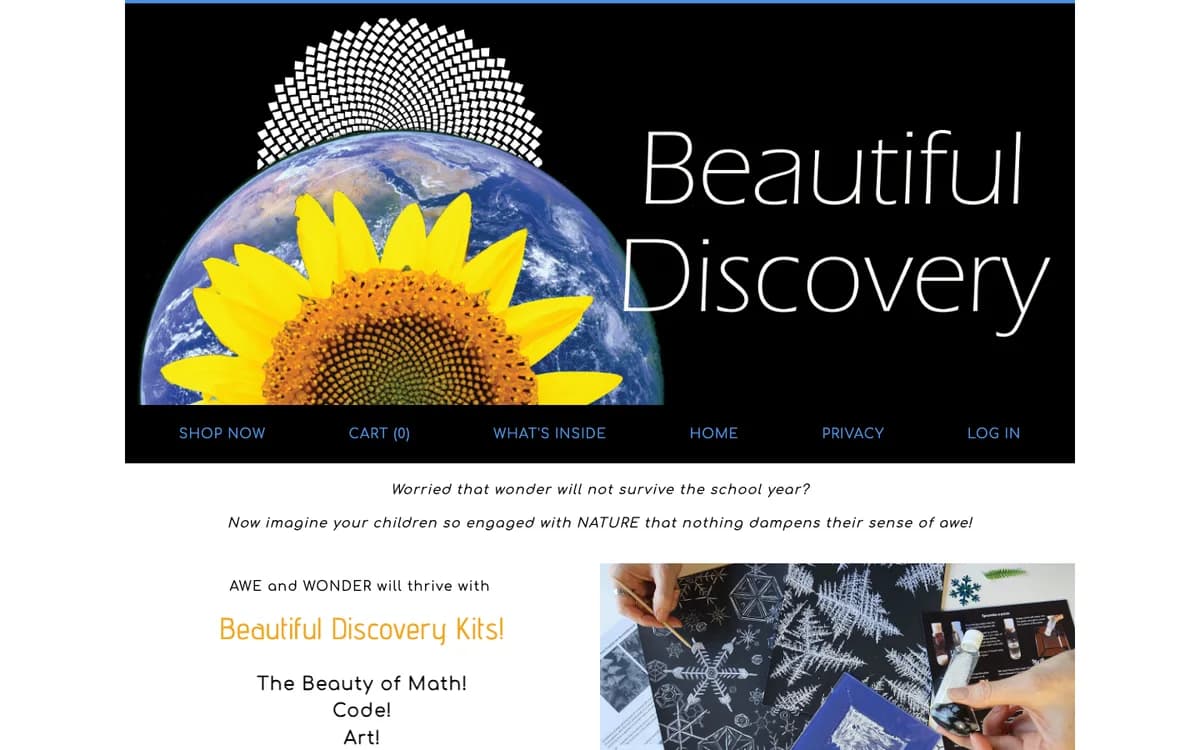 Beautiful Discovery Box art and nature study kits