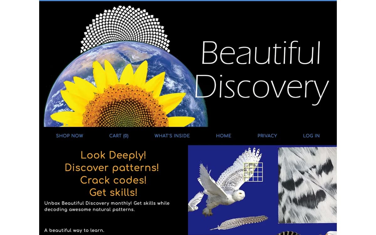 Beautiful Discovery Box kit contents and activities
