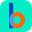 bina school logo