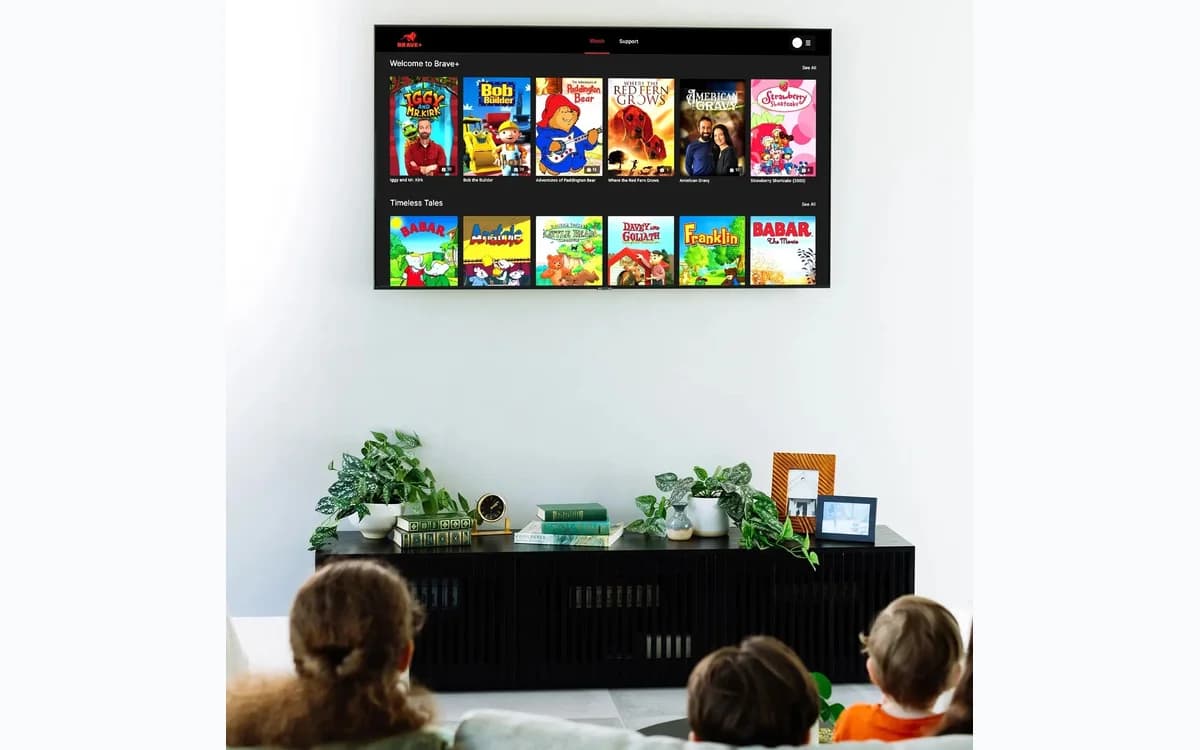 BRAVE Plus video and audio learning library