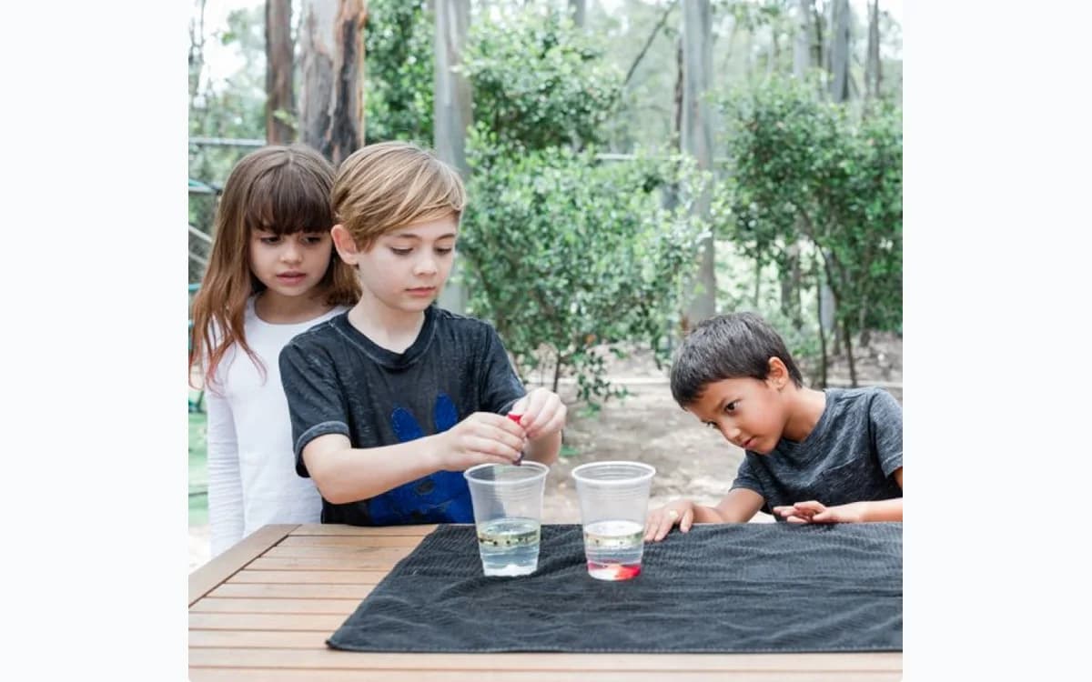 Guidepost Elementary parent-as-educator homeschool program