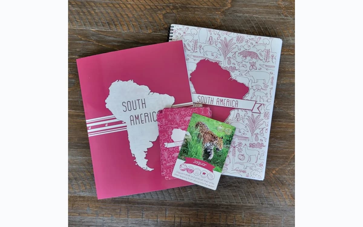 Hatching Curiosity South America continent-study books