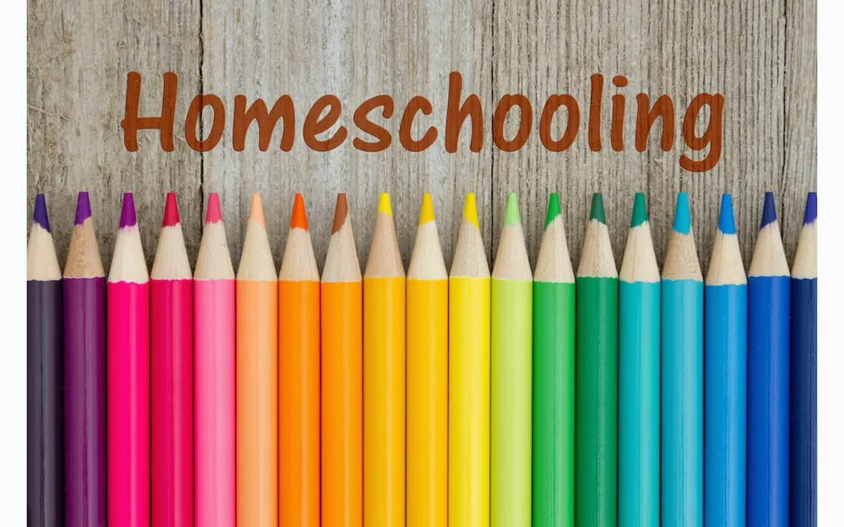 I Create Art full homeschool curriculum box and organized project packs