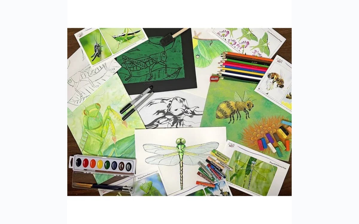 I Create Art insects themed homeschool project and materials