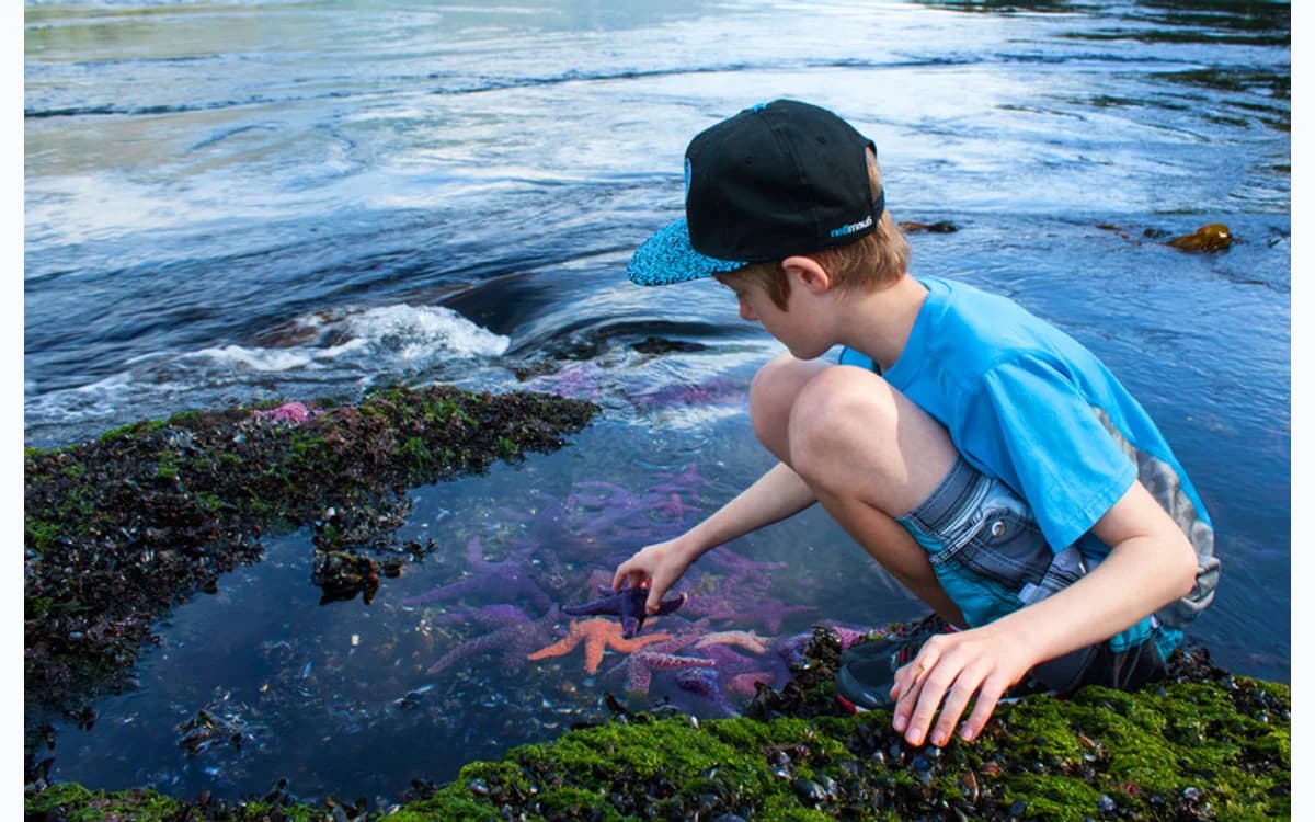 Student exploring marine biology as part of hands-on science study