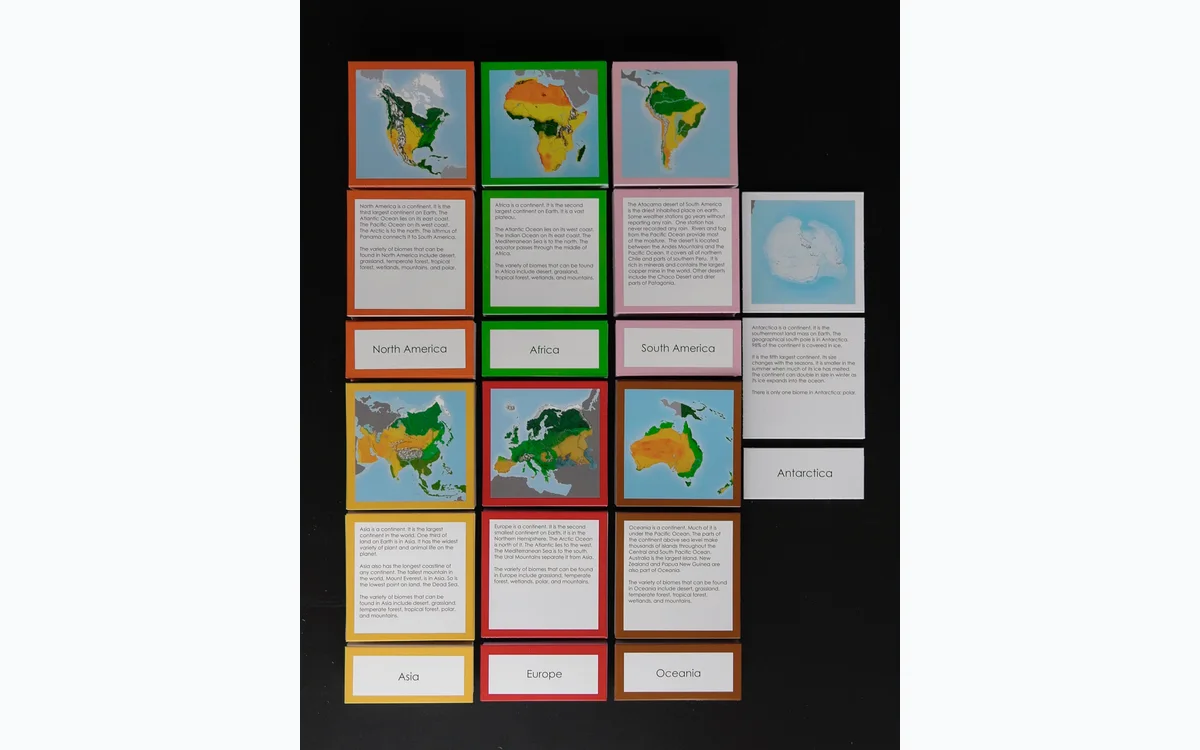 Waseca Biomes complete elementary continent biome cards