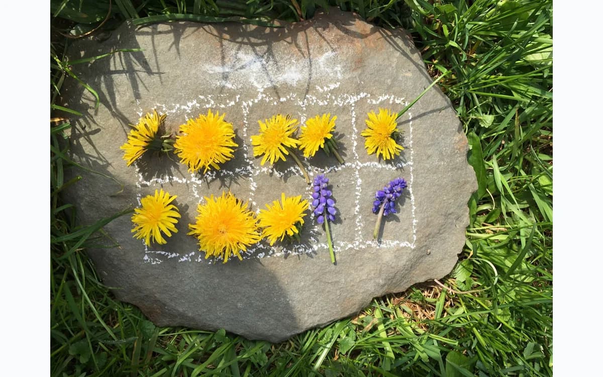 Wild Math ten-frame addition activity with flowers outdoors